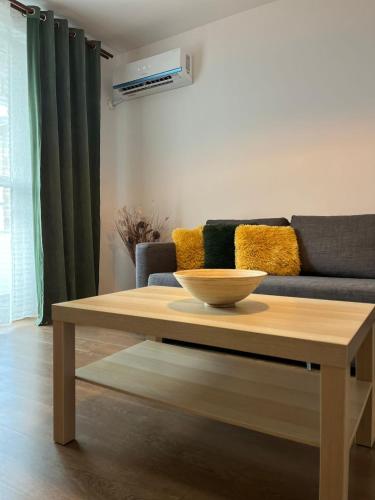 Sophia's Cozy Apartment - Mediaş