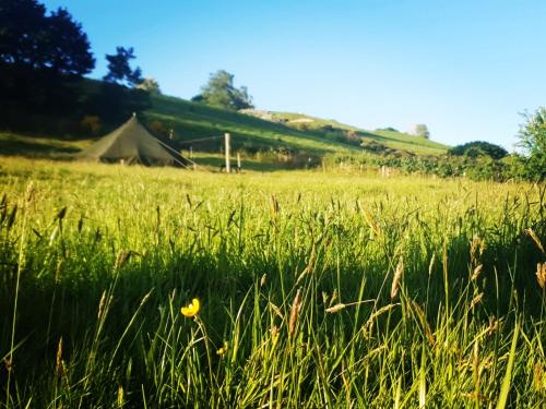 Forever Young Forest @ Escape Camping gîte à louer Carno