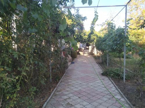 Garden, EcoVilla in Cahul