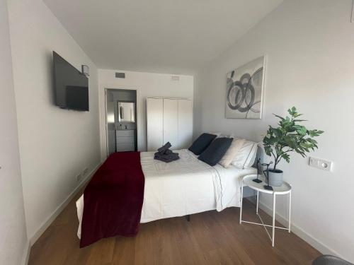 Canet De Berenguer, Playa Apto con 2 habitaciones, Valencia (photo 7)