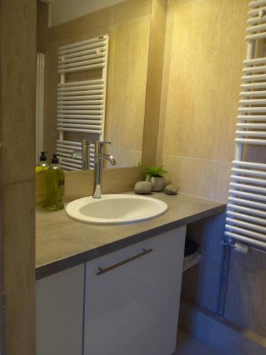 Fürdőszoba, Appart très cosy et confortable à Amélie les Bains (Appart tres cosy et confortable a Amelie les Bains) in Arles-sur-Tech