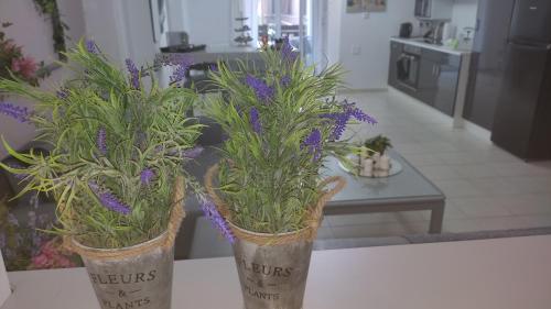 Lavender Home