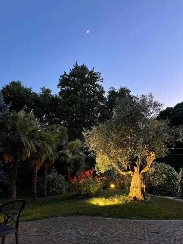 Parco Sassi Hotel