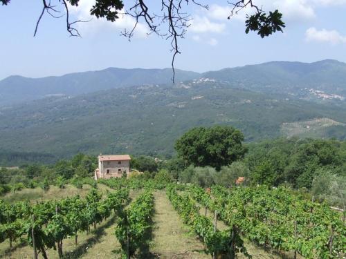  Agriturismo Gorrieri in Centola