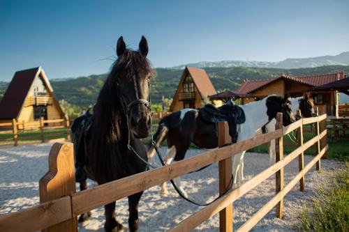 Sancho Farm Albania