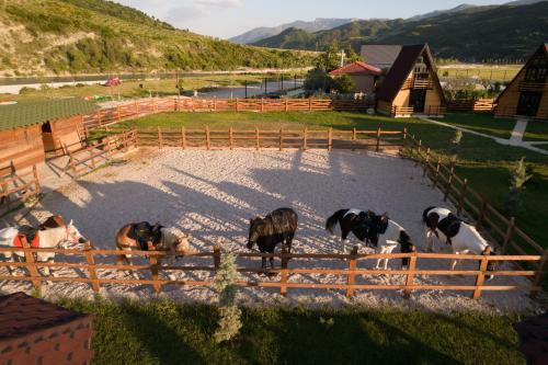 Sancho Farm Albania