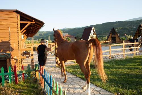 Sancho Farm Albania