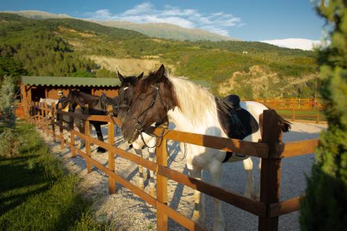 Sancho Farm Albania