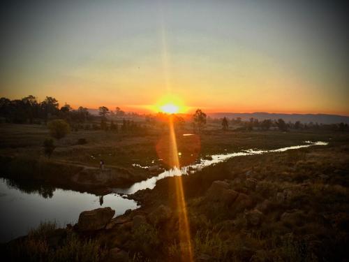 The shack life in Heidelberg