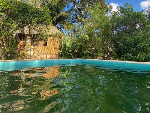 Peldbaseins, Encantadora Villa Maya tradicional en Rancho Agroecologico in Xoy