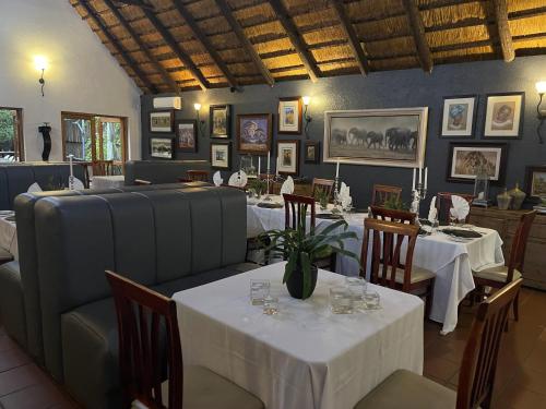 Karongwe Portfolio- Shiduli Private Game Lodge