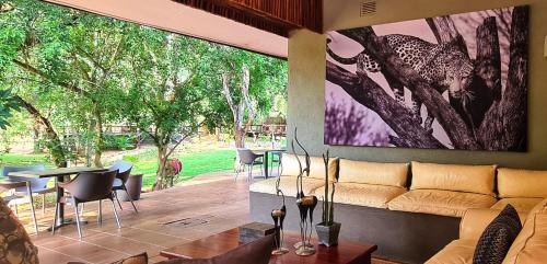 Karongwe Portfolio- Shiduli Private Game Lodge