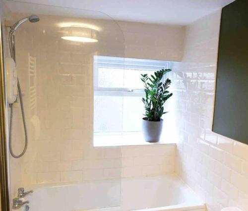 Cosy cottage close to the countryside, 10 minutes from Bath city centre, Bath (zdjęcie 8)