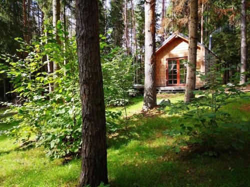 . Private cosy forest cabin