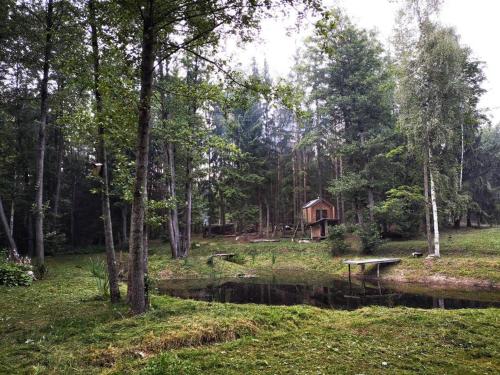 周邊環境, Private cosy forest cabin in 因圖爾克