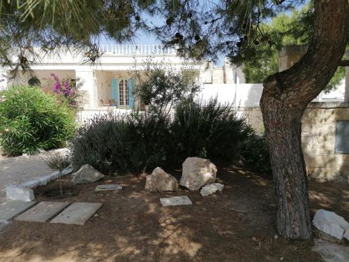 Garden, Ramasole in Monticelli