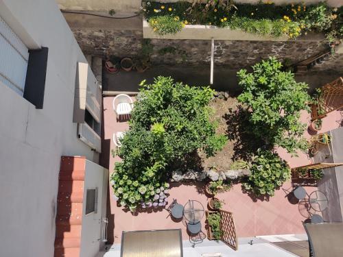 Hotel Villa Cecilia - main image