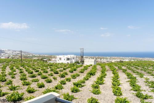  Ampelos Executive Houses in Pirgos