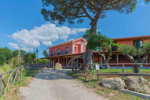 Terra di Vento - Accommodation - Montecorvino Pugliano