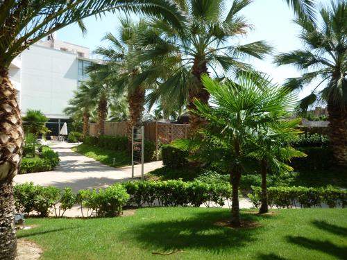 AGH Canet, Canet de Berenguer (foto 6)