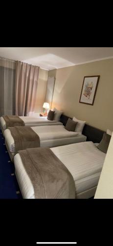 Park Hotel Airport - image 13