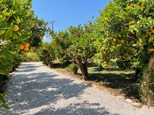 Little House On The Prairie in Arménoi