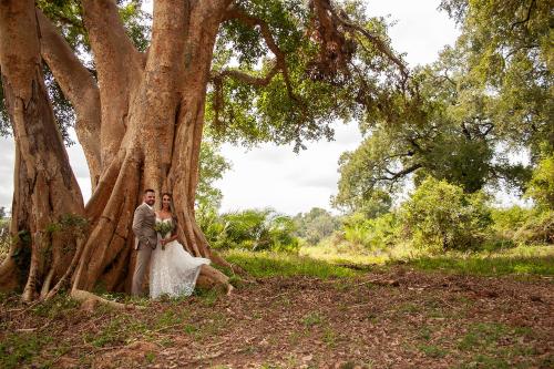 Karongwe Portfolio- Shiduli Private Game Lodge