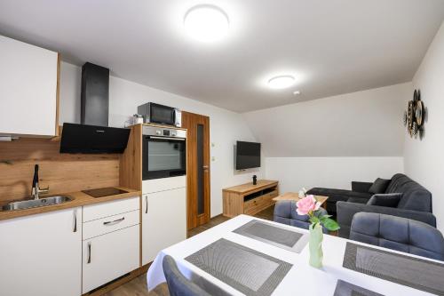 Apartmany Zavetri in Plzen 8