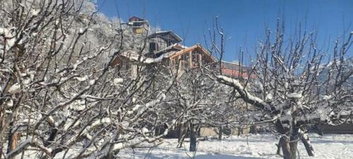 RedHomeX Hilly PARADISE Villa — Hotel in Manali