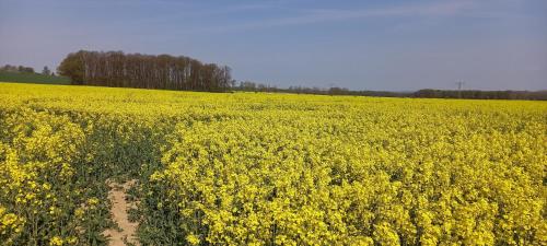 Ferienhof mit Bergblick in Löbau, Deutschland