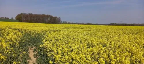 Ferienhof mit Bergblick in Löbau, Deutschland