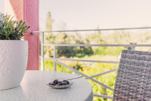 Villa Vasiliki Villa Vasiliki