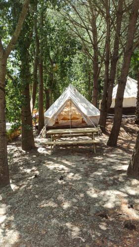 Bungalows y Glamping Medina Sidonia