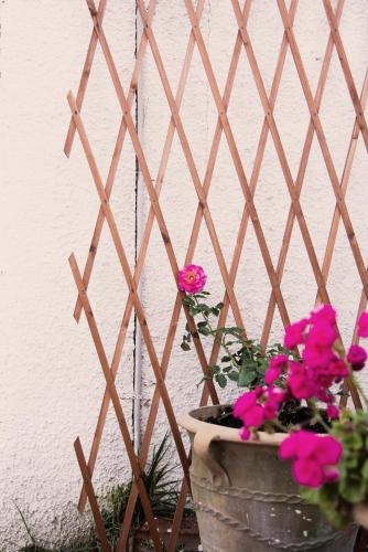 Villa Vasiliki Villa Vasiliki