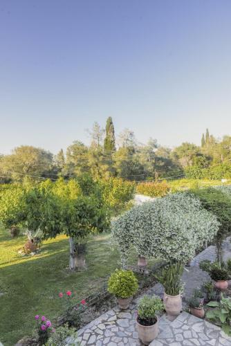 Villa Vasiliki Villa Vasiliki