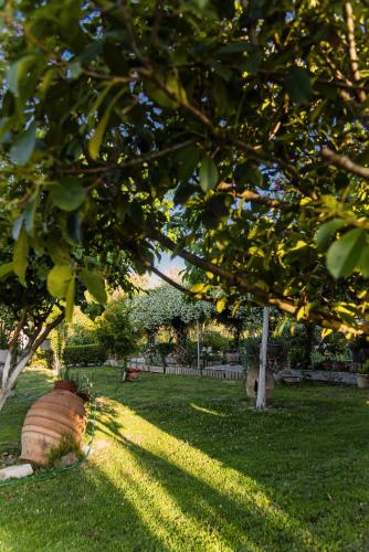 Villa Vasiliki Villa Vasiliki