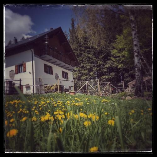  B&B Alle Betulle, Unterkunft in Pievepelago