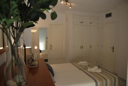 Apartment with Terrace image 10