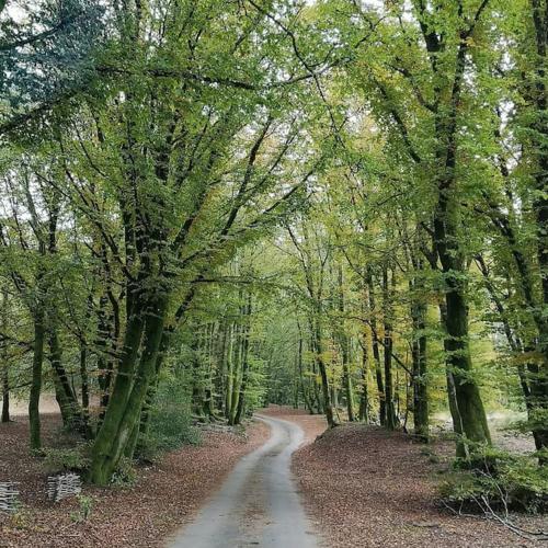 La Maison du Bonheur en Morvan gîte à louer Corancy
