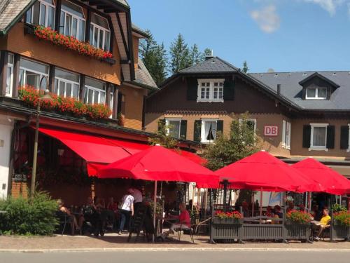 Hotel Schwarzwaldhof - image 12