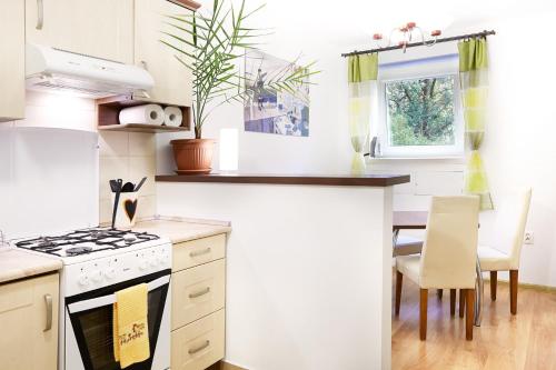 Lovely Garden Flat near Royal Park - main image