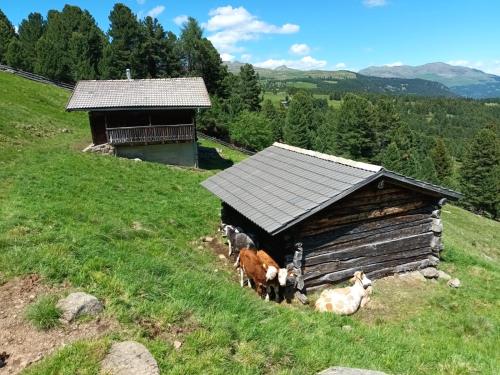 HAUSERHOF - Urlaub auf dem Bauernhof in Villanders mit einzigartigem Ausblick in die Dolomiten