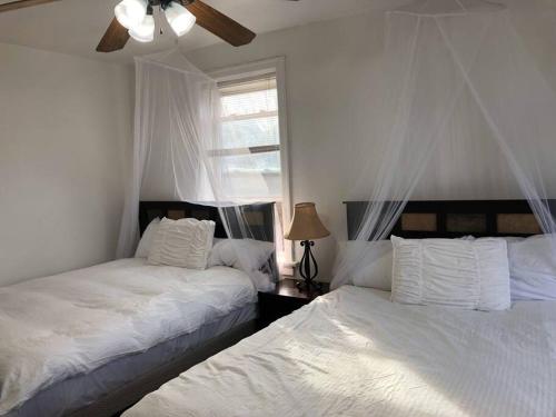 (49.1W) Beautiful Getaway in Saint Louis near Forest Park