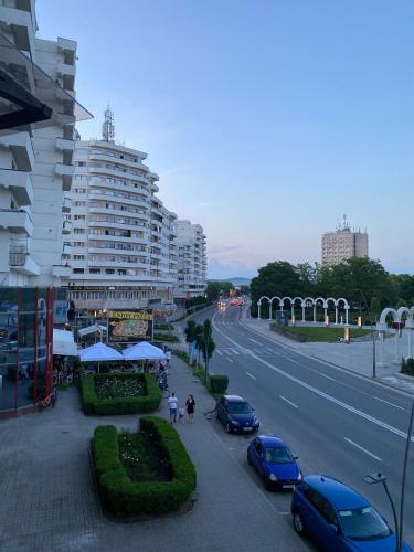 Studio PANORAMIC with Balcony and Parcul Unirii view, Alba Iulia