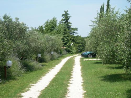 Vista Assisi - image 2