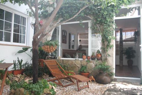 Hedera, Candeleda (photo 4)