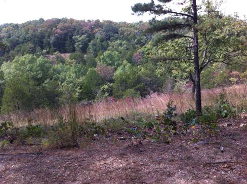 Beautiful Parkside Suite Beautiful Parkside Suite