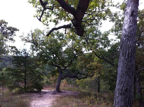 Beautiful Parkside Suite Beautiful Parkside Suite