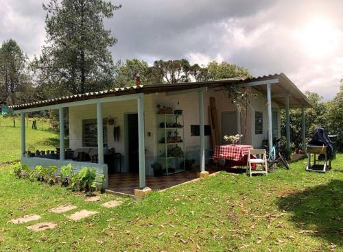 Cerro verde