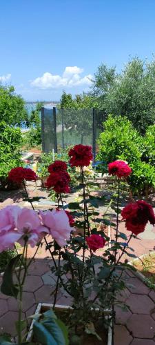  Apartments Lukacic in Tkon